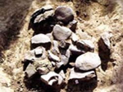 北埝头新石器文化遗址